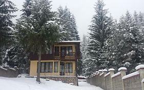 Вила Мерджан